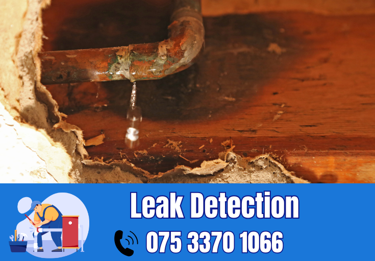 leak detection Erith
